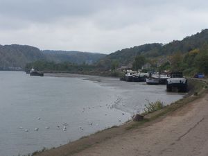 Marée basse entre Namur et Andenne