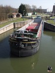 Campinois et autre au canal de Louvain-Dyle
