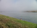 AUTOMNE SUR RH�NE