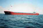 LE TRANSPORT FLUVIOMARITIME SUR LE RH�NE (Chapitre 3)