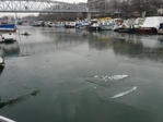 Bassin de l'ARSENAL gelé